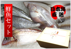 【ギフト用】日本海の鮮魚セット＜4〜6人用＞ 岩船（特）