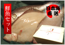 【ギフト用】日本海の鮮魚セット＜2〜3人用＞ 笹川流れ（並）