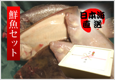 【ギフト用】日本海の鮮魚セット＜4〜6人用＞ 笹川流れ（並）