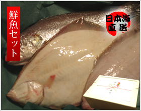 【ギフト用】鮮魚セット 2〜3人用 笹川流れ(並)
