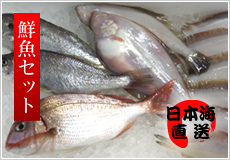 日本海の鮮魚セット＜4〜6人用＞ 笹川流れ（並）