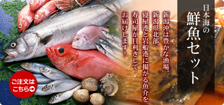 日本海の鮮魚セット
