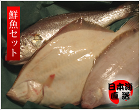 日本海の鮮魚セット＜1人用＞笹川流れ(並)