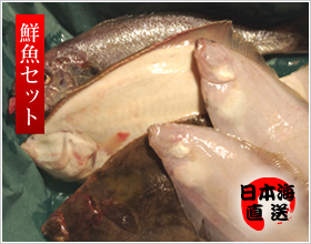 日本海の鮮魚セット＜2〜3人用＞笹川流れ(並)
