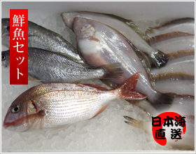 日本海の鮮魚セット＜4〜6人用＞笹川流れ(並)