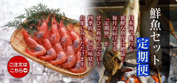 日本海の鮮魚セット 定期便